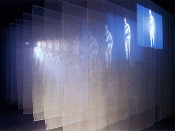 Theater Scrims Mosquito Curtains